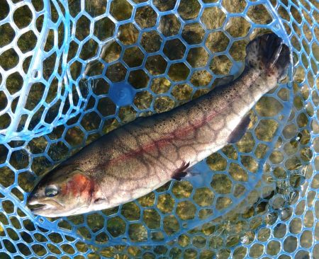 三桁釣果に大物もキャッチ！